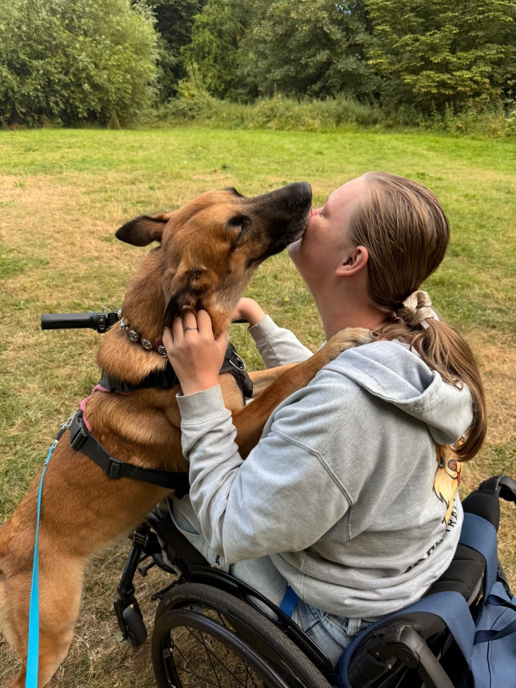 Dee getting a kiss from a Belgian Malinois, dog training in Sedgefield