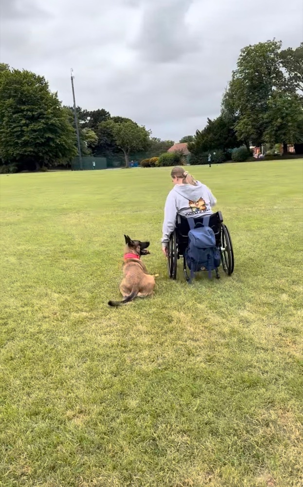 Dee working one-to-one with a Belgian Malinois in the park